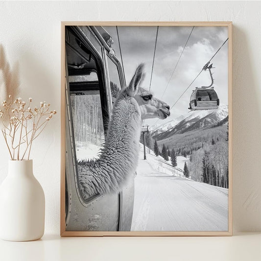 Llama Land: Black and White Photo of a Llama on a Gondola 11x14 Framed Poster - Whimsical Ski Resort Wall Art, Snowy Landscape Funny Animal Decor, Alpine Skiing Humor, Winter Cabin & Lodge Décor