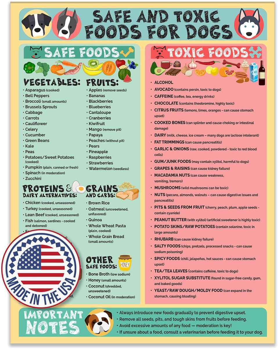 Magnetic 8.5x11 Safe and Toxic Foods for Dogs Magnet – Pet Safety Chart and Canine Nutrition Guide, Waterproof & Humidity- (Pack of 1)