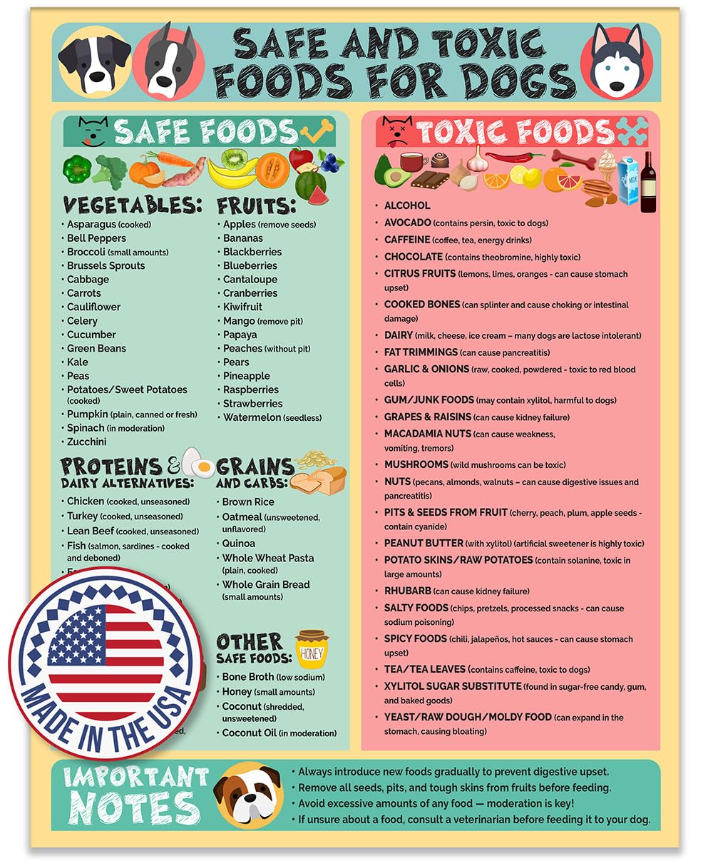 Magnetic 8.5x11 Safe and Toxic Foods for Dogs Magnet – Pet Safety Chart and Canine Nutrition Guide, Waterproof & Humidity- (Pack of 1)