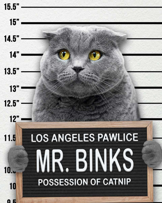 Dog Mugshot Custom Pet Mugshot of your Dog, Cat or Pet | Lone Star Art.