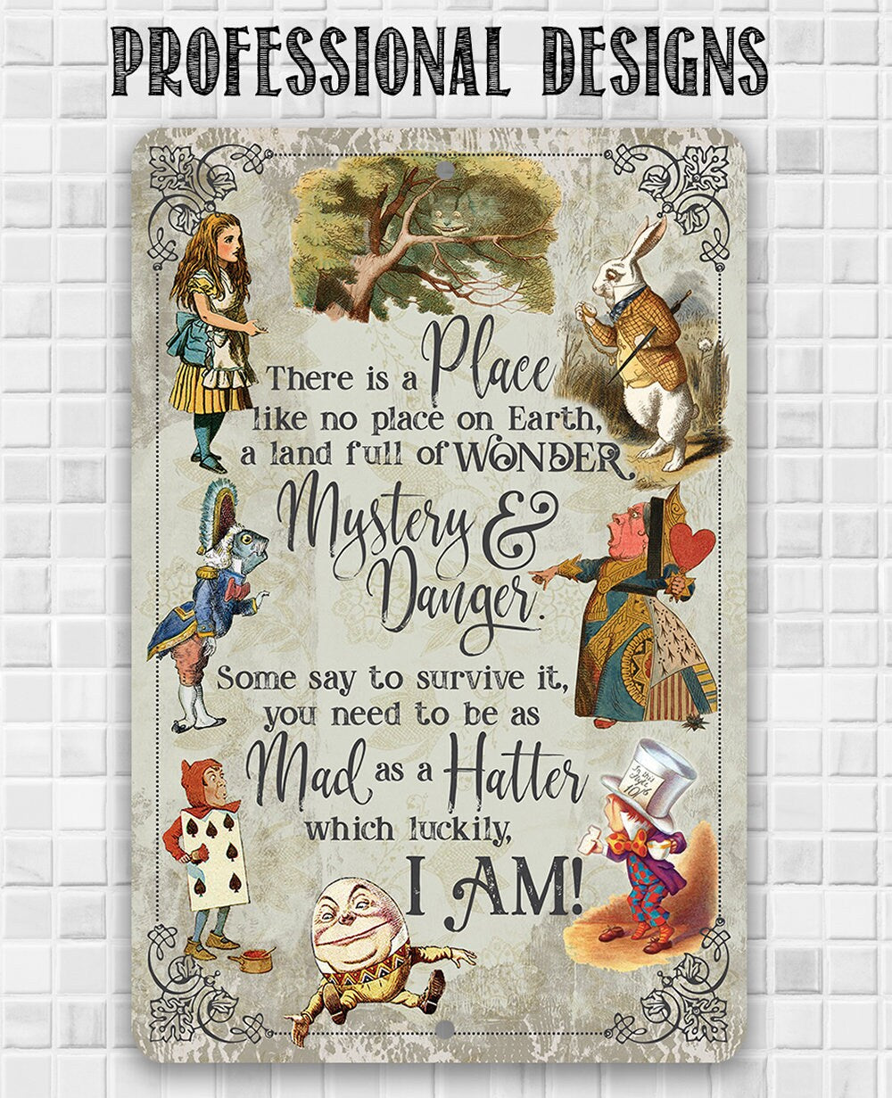 There Is A Place Like No Place On Earth - 8" x 12" or 12" x 18" Aluminum Tin Awesome Metal Poster Lone Star Art