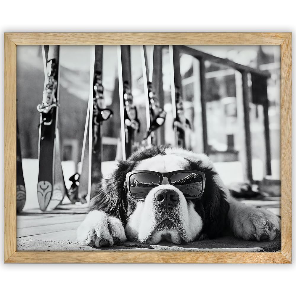 It Was a Long Run St. Bernard with Sunglasses Wall Art Ski Photo 11x14 Unframed Poster – Black & White Dog Ski Resort Print, Winter Sports Skiing Photography, Alpine Vacation Lodge Pet Décor