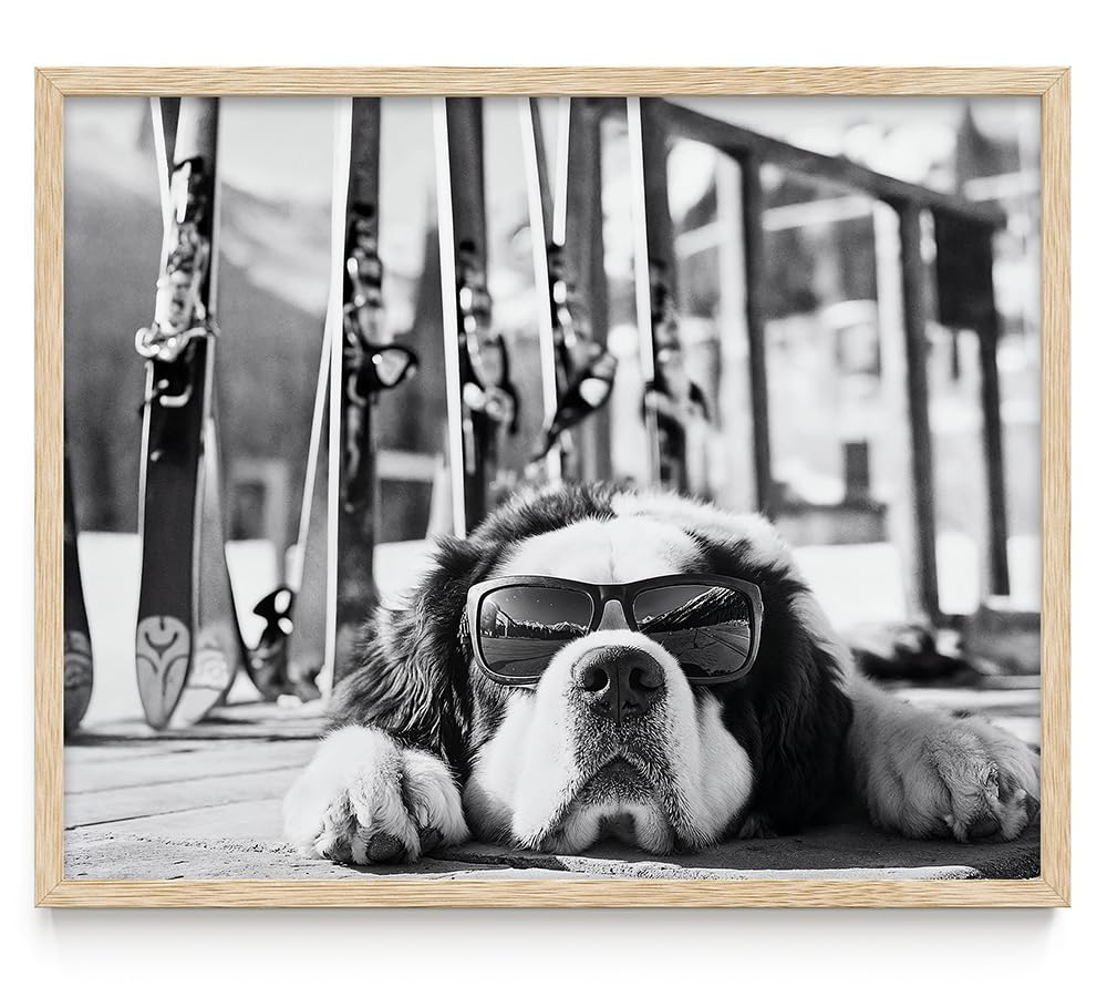 It Was a Long Run St. Bernard with Sunglasses Wall Art Ski Photo 11x14 Unframed Poster – Black & White Dog Ski Resort Print, Winter Sports Skiing Photography, Alpine Vacation Lodge Pet Décor