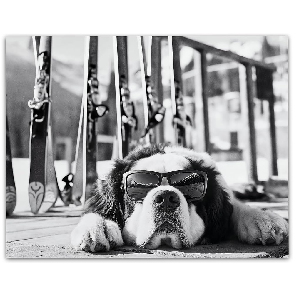 It Was a Long Run St. Bernard with Sunglasses Wall Art Ski Photo 11x14 Unframed Poster – Black & White Dog Ski Resort Print, Winter Sports Skiing Photography, Alpine Vacation Lodge Pet Décor