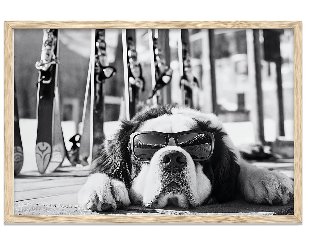It Was a Long Run St. Bernard with Sunglasses Wall Art Ski Photo 11x14 Unframed Poster – Black & White Dog Ski Resort Print, Winter Sports Skiing Photography, Alpine Vacation Lodge Pet Décor