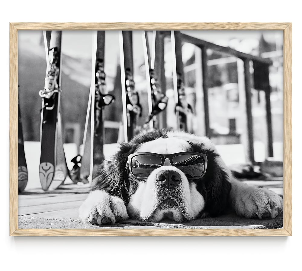 It Was a Long Run St. Bernard with Sunglasses Wall Art Ski Photo 11x14 Unframed Poster – Black & White Dog Ski Resort Print, Winter Sports Skiing Photography, Alpine Vacation Lodge Pet Décor