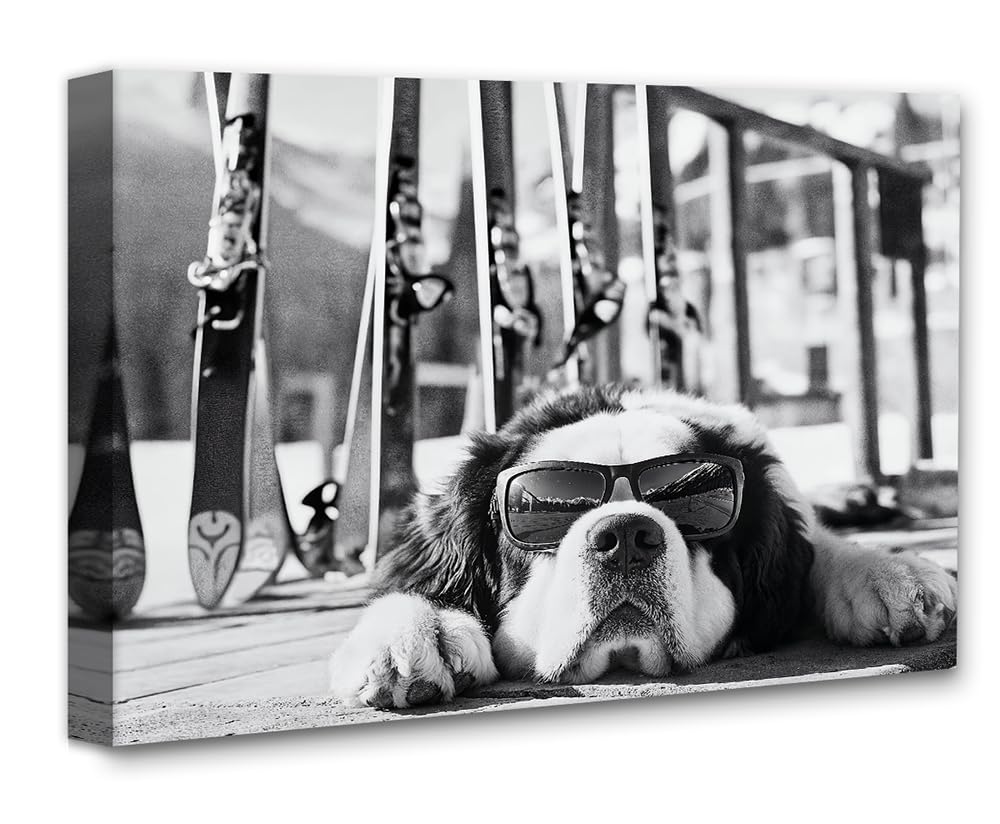 It Was a Long Run St. Bernard with Sunglasses Wall Art Ski Photo 11x14 Unframed Poster – Black & White Dog Ski Resort Print, Winter Sports Skiing Photography, Alpine Vacation Lodge Pet Décor