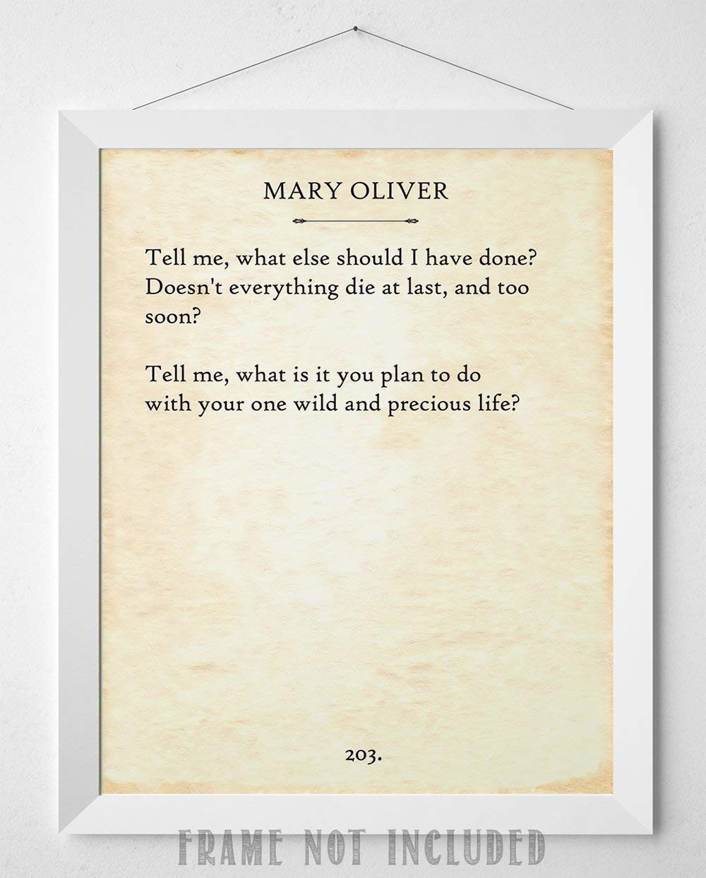 Mary Oliver - The Summer Day... - 11x14 Unframed Typography Book Page Print - Great Gift Under $15 for Book Lovers