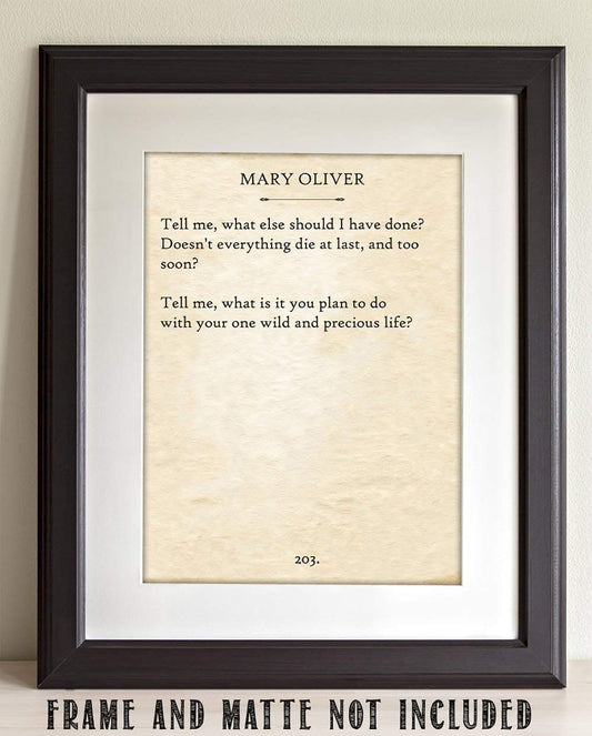 Mary Oliver - The Summer Day... - 11x14 Unframed Typography Book Page Print - Great Gift Under $15 for Book Lovers