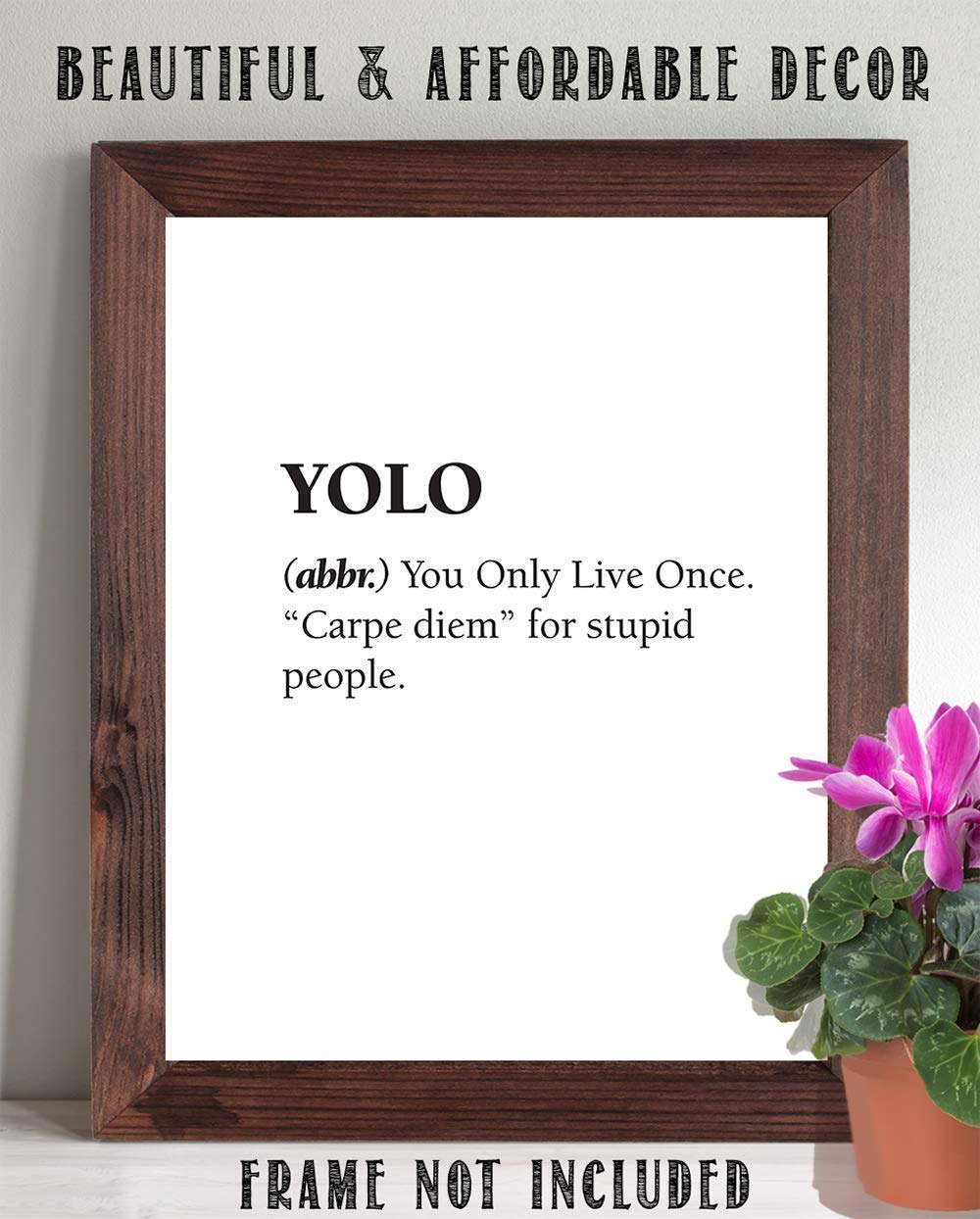 Yolo - You Only Live Once - Dictionary Definition Print, Seize The Day Sign for Home and Office Decor, Funny Positive Quote and Inspirational Decoration Gift, 11x14 Unframed Print Minimalist Poster