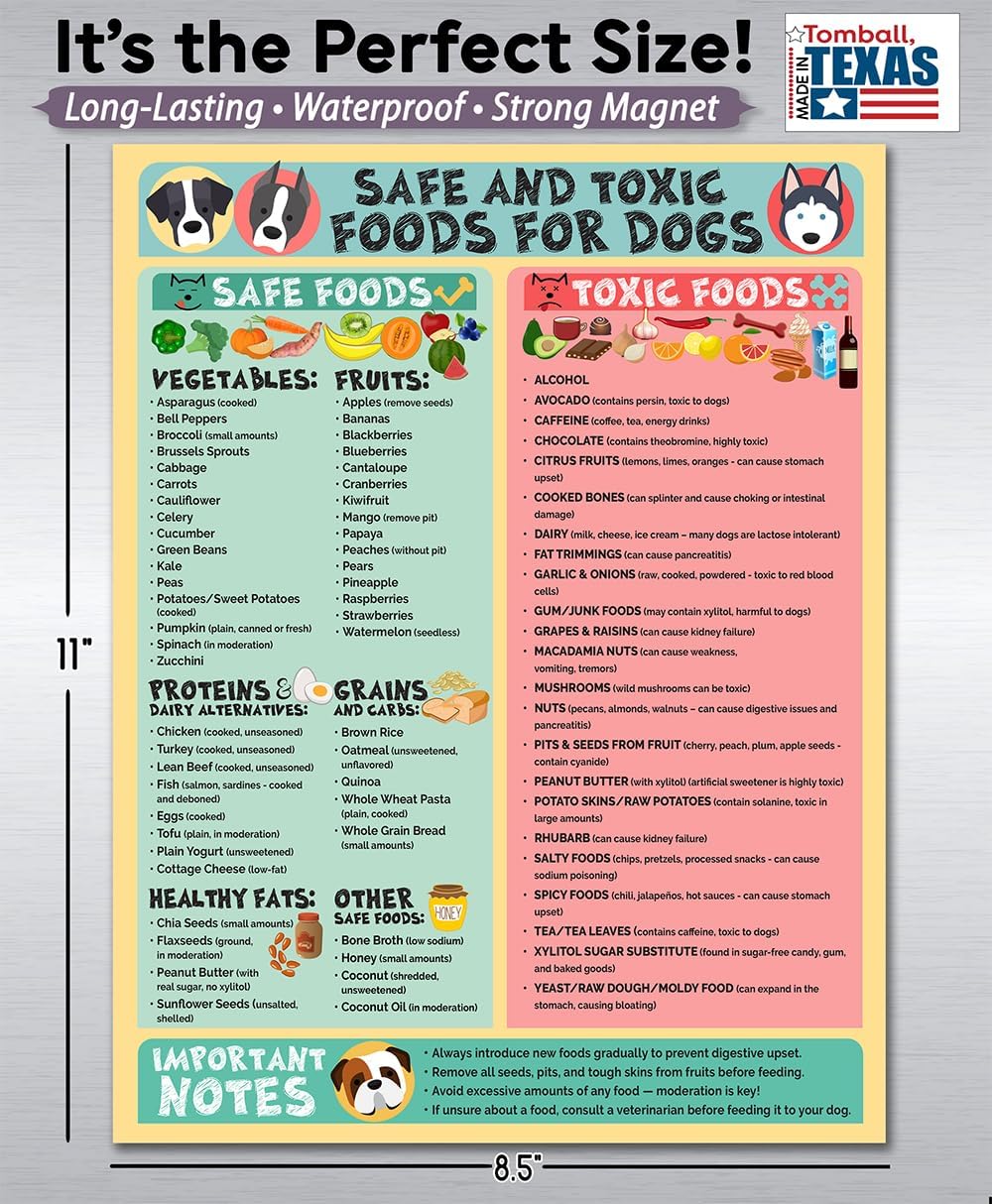 Magnetic 8.5x11 Safe and Toxic Foods for Dogs Magnet – Pet Safety Chart and Canine Nutrition Guide, Waterproof & Humidity- (Pack of 1)