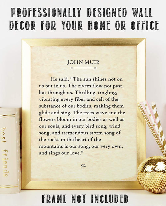 John Muir - The Sun Shines Not On Us Poster - 11x14 Unframed Typography Book Page Print - Great Inspirational and Motivational Gift and Home and Office Decor Under $15