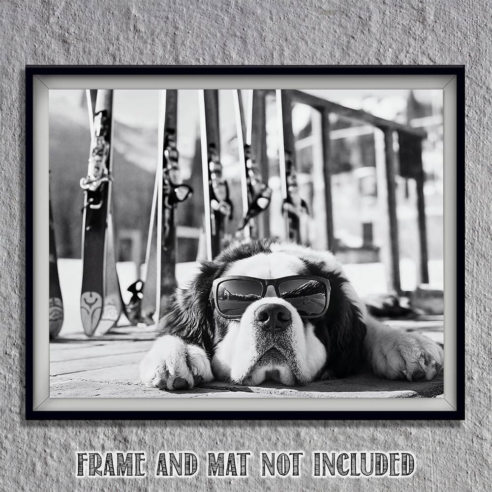 It Was a Long Run St. Bernard with Sunglasses Wall Art Ski Photo 11x14 Unframed Poster – Black & White Dog Ski Resort Print, Winter Sports Skiing Photography, Alpine Vacation Lodge Pet Décor