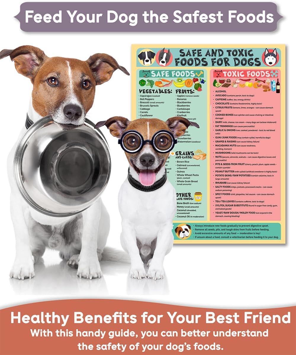 Magnetic 8.5x11 Safe and Toxic Foods for Dogs Magnet – Pet Safety Chart and Canine Nutrition Guide, Waterproof & Humidity- (Pack of 1)