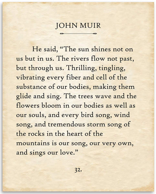 John Muir - The Sun Shines Not On Us Poster - 11x14 Unframed Typography Book Page Print - Great Inspirational and Motivational Gift and Home and Office Decor Under $15