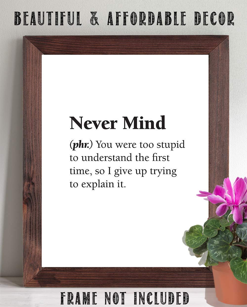 Never Mind - You Were Too Stupid to Understand - Dictionary Definition Quote - Sarcastic Funny Humor Home and Office Decor, Great Gift for Office Mate and Friends, 11x14 Unframed Art Print Poster