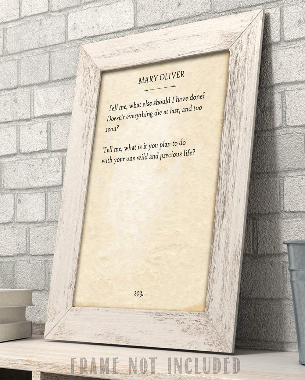 Mary Oliver - The Summer Day... - 11x14 Unframed Typography Book Page Print - Great Gift Under $15 for Book Lovers