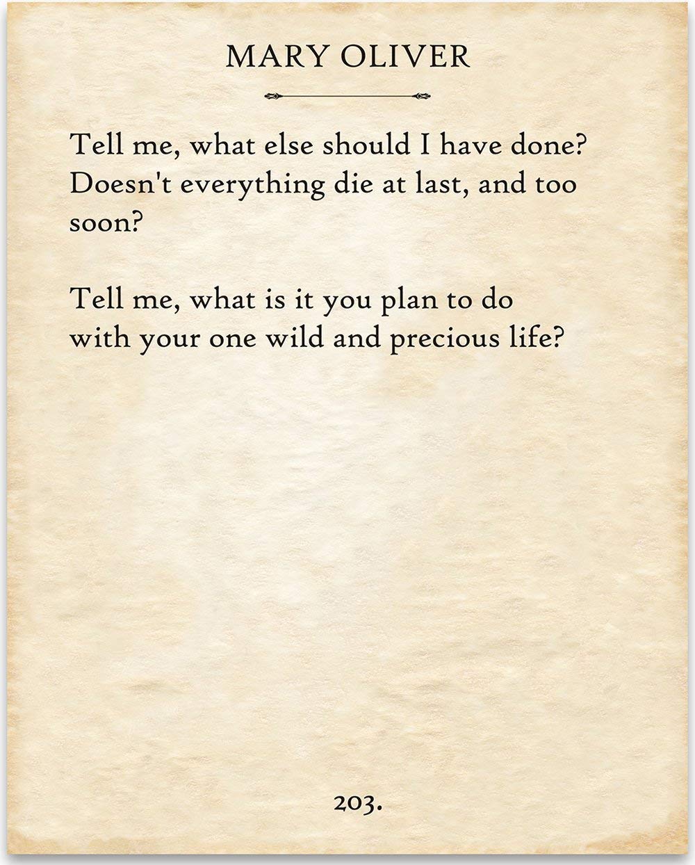 Mary Oliver - The Summer Day... - 11x14 Unframed Typography Book Page Print - Great Gift Under $15 for Book Lovers