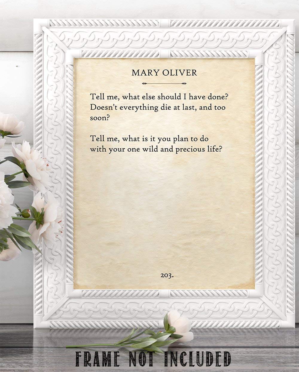 Mary Oliver - The Summer Day... - 11x14 Unframed Typography Book Page Print - Great Gift Under $15 for Book Lovers