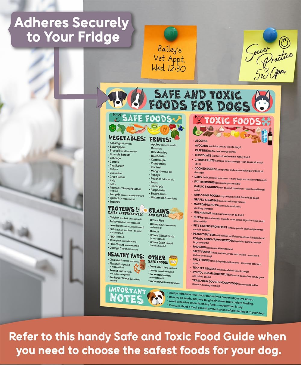 Magnetic 8.5x11 Safe and Toxic Foods for Dogs Magnet – Pet Safety Chart and Canine Nutrition Guide, Waterproof & Humidity- (Pack of 1)
