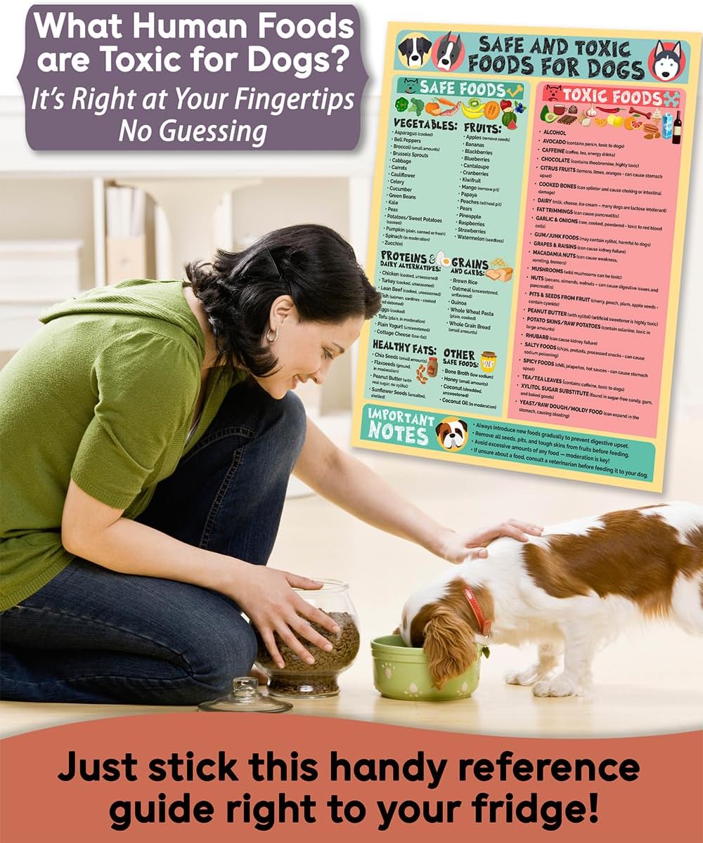 Magnetic 8.5x11 Safe and Toxic Foods for Dogs Magnet – Pet Safety Chart and Canine Nutrition Guide, Waterproof & Humidity- (Pack of 1)