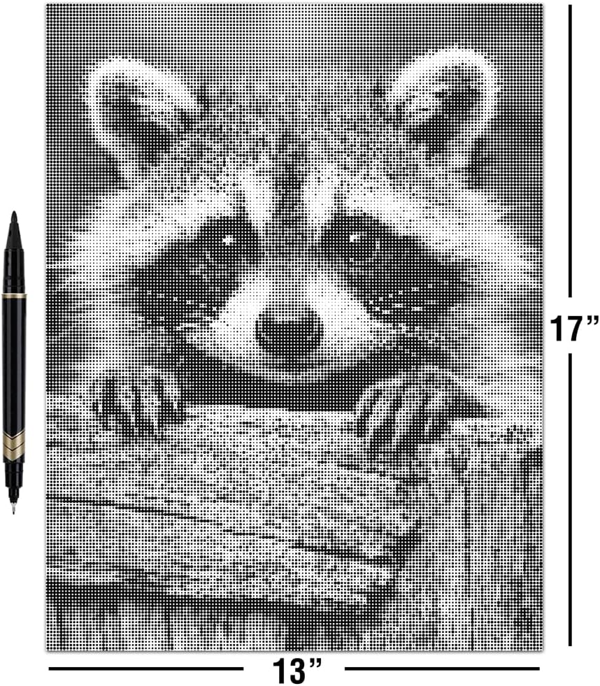 On The Dot Art — Dot Painting Kit for Adults | Raccoon Rascal 13x17 Canvas with Dual-Tip Marker | Relaxing Art Activity, Easier Alternative to Diamond Painting | No Tiny Pieces, No Mess | Great Gift