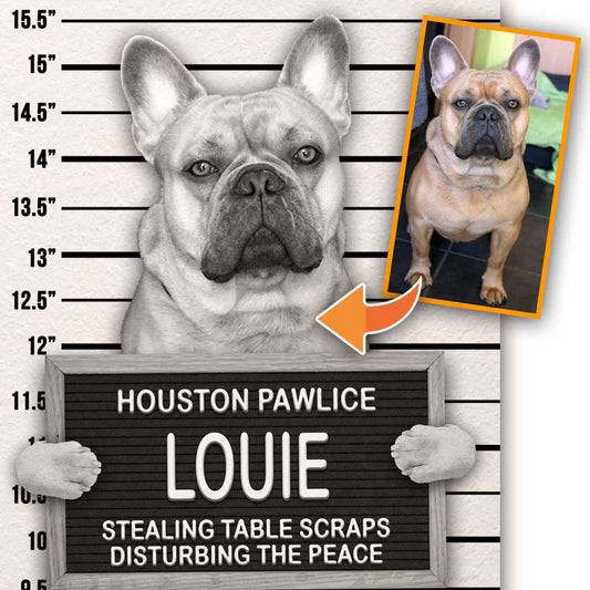 Dog Mugshot Custom Pet Mugshot of your Dog, Cat or Pet | Lone Star Art.