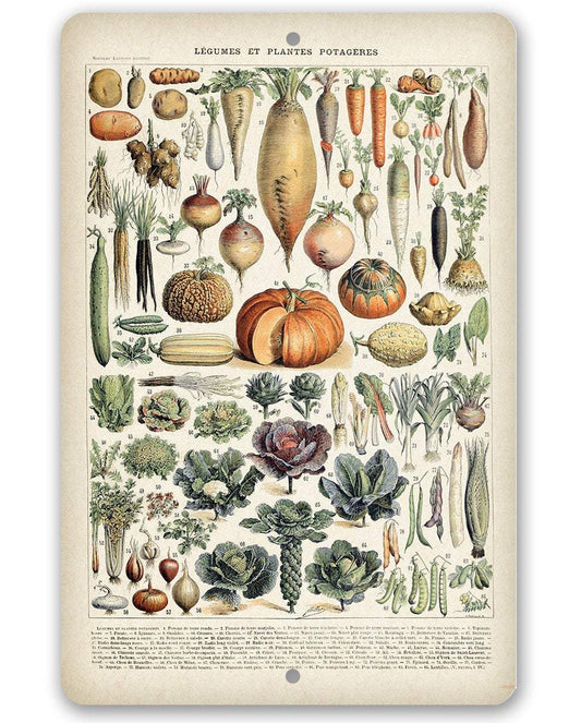 Legumes - Metal Sign | Lone Star Art.