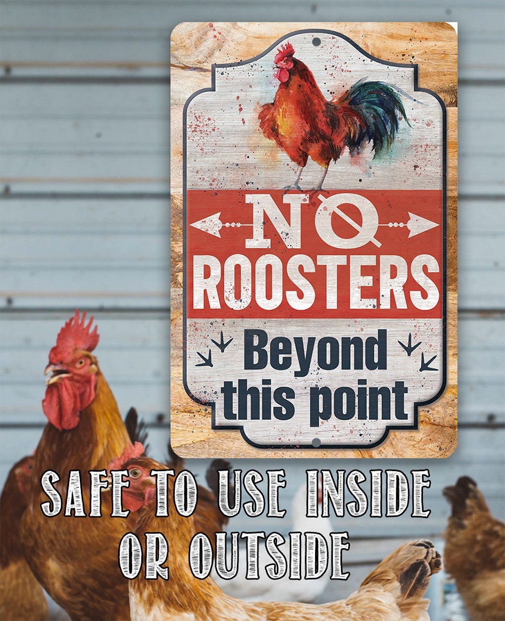 No Roosters Beyond This Point - Metal Sign Metal Sign Lone Star Art 