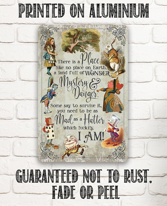 There Is A Place Like No Place On Earth - 8" x 12" or 12" x 18" Aluminum Tin Awesome Metal Poster Lone Star Art