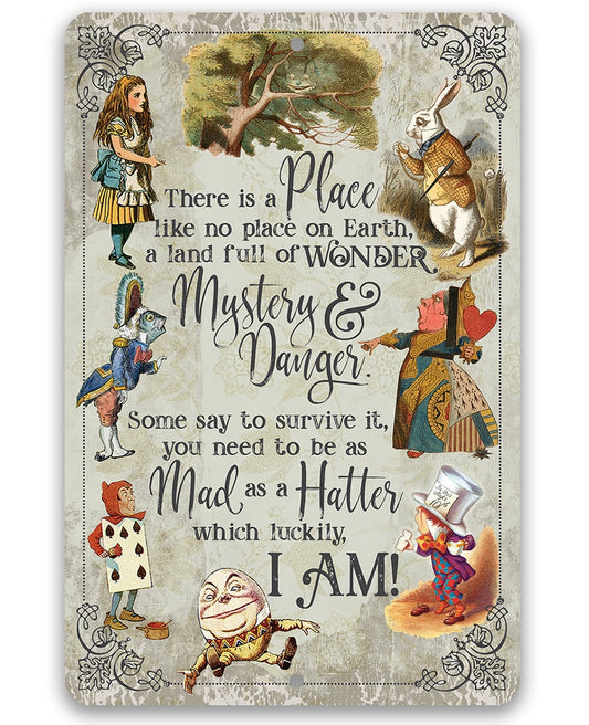 There Is A Place Like No Place On Earth - 8" x 12" or 12" x 18" Aluminum Tin Awesome Metal Poster Lone Star Art