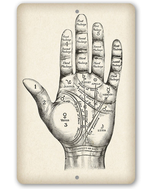 Vintage Palm Reading - Metal Sign | Lone Star Art.